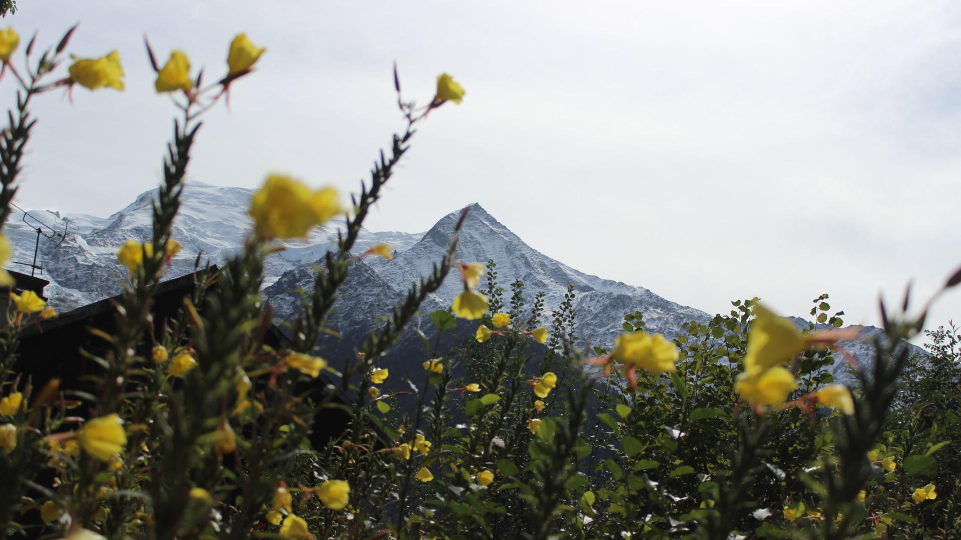 l'été à la montagne