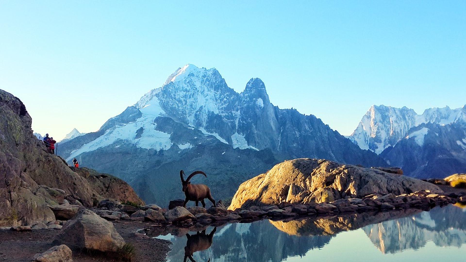 au bord du lac blanc