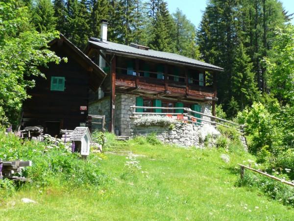 arrivée au chalet